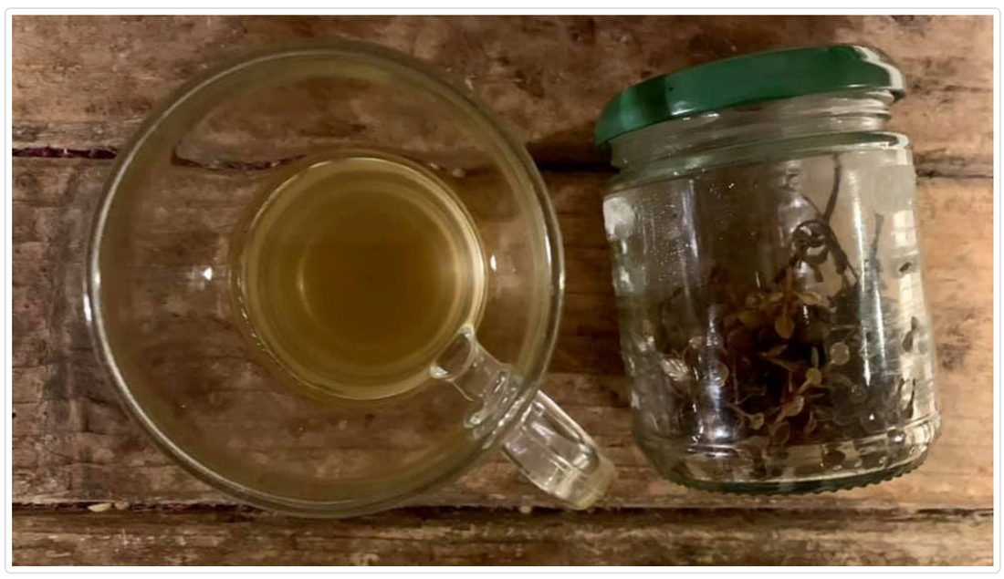 Home Made Skin Infection Remedy
