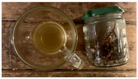 Home Made Skin Infection Remedy