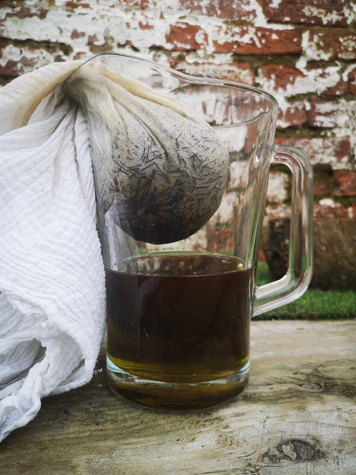 Wild Medicine Course