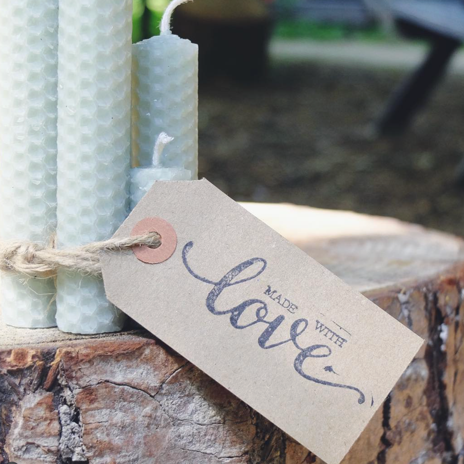 Activities at Jollydays