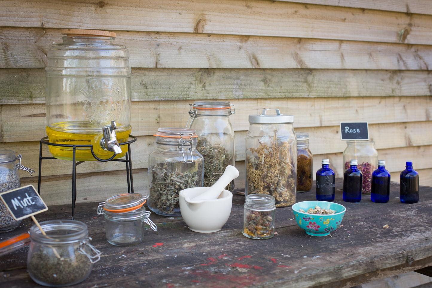 Wild Medicine Course