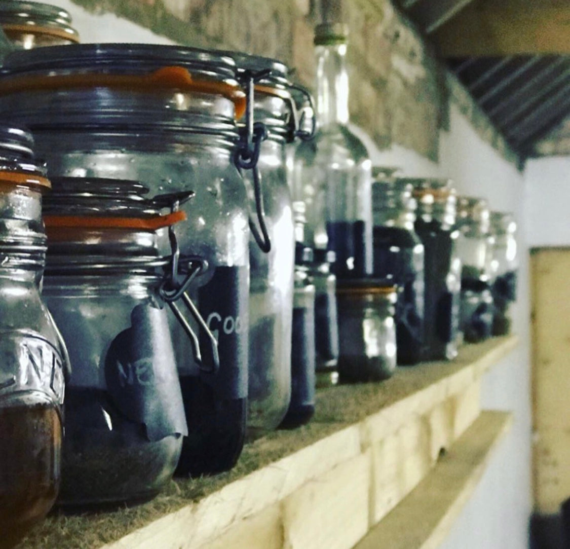 Wild Medicine Course