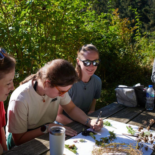 Team building activities Yorkshire