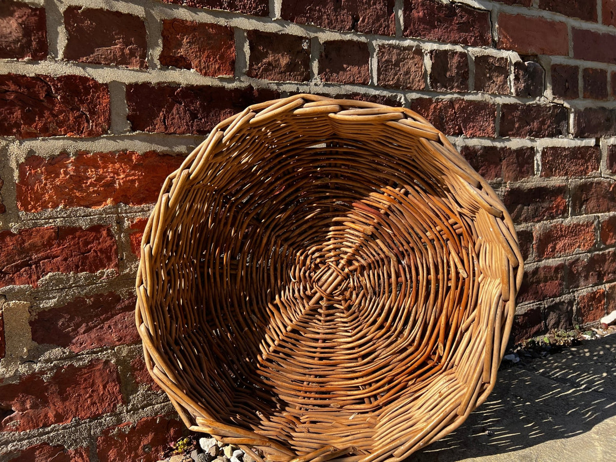 Willow For Weaving