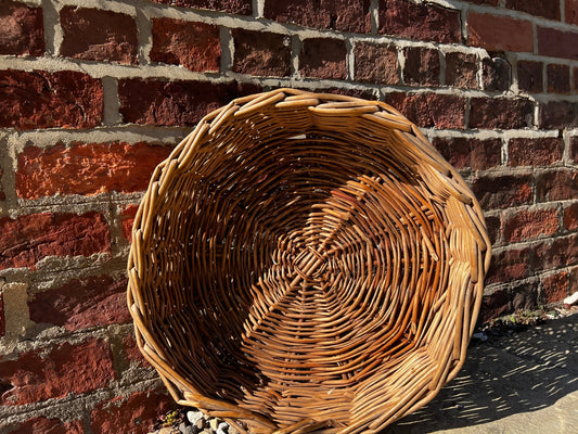 Willow For Weaving