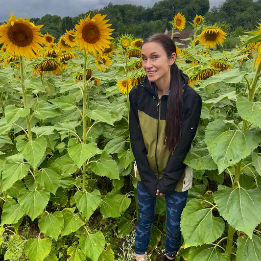 sunflowers uses of sunflowers
