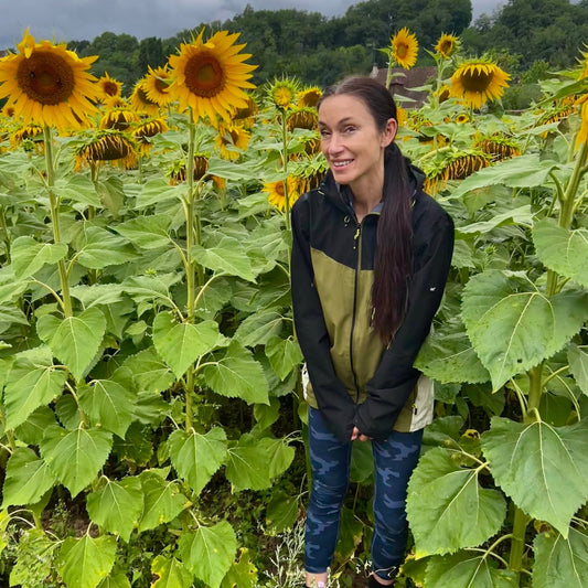 sunflowers uses of sunflowers