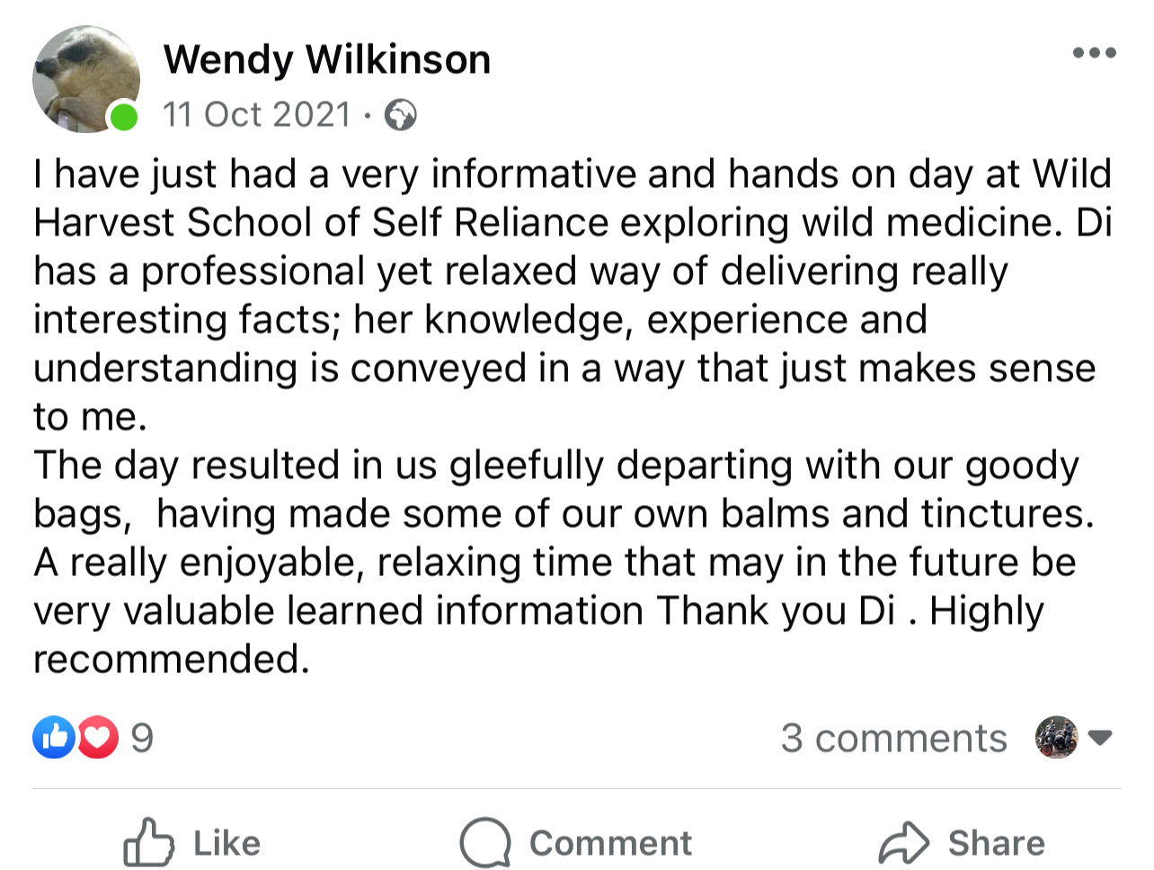 Wild Medicine Course