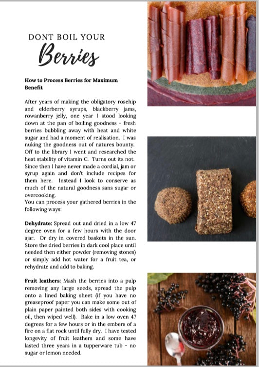 Wild Food E-Book