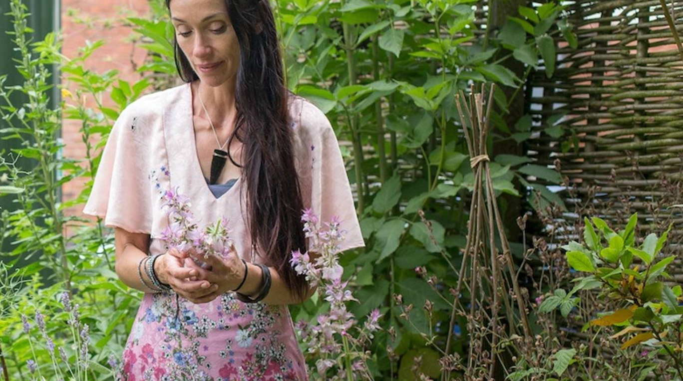 Wild Medicine Course