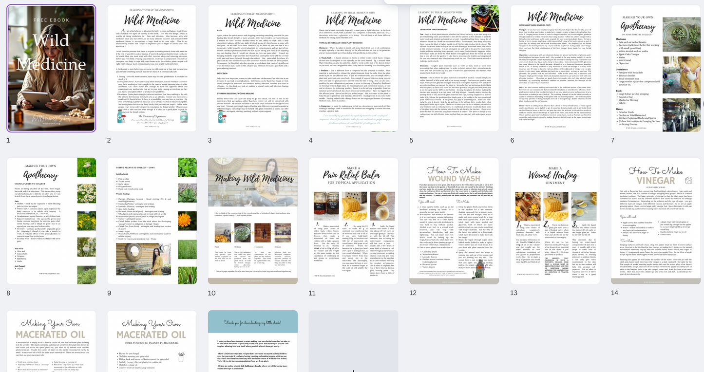 Wild Medicine Course