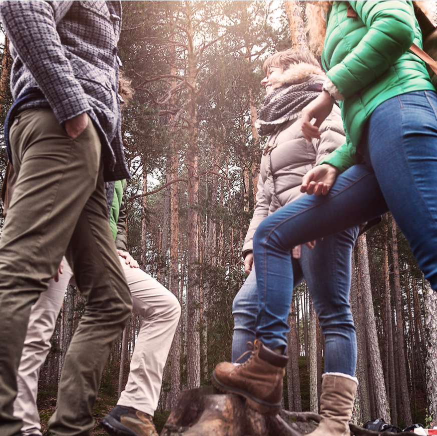 Lead wild food foraging walks