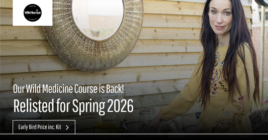 Wild Medicine Course