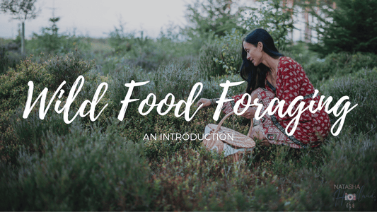Online Foraging Course, learn wild food online.