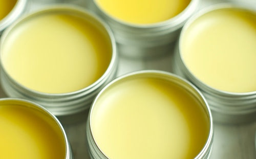 Wild Medicine Course