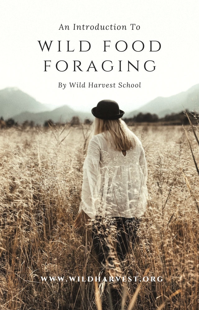 Wild Food E-Book