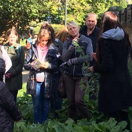 Two Hour Wild Food Walk Private Group Booking for Your Group at Your Venue