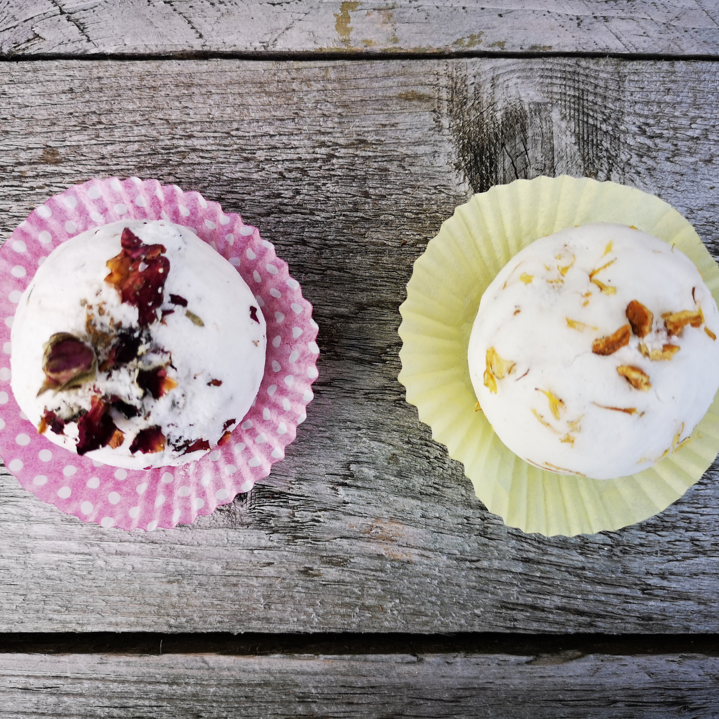 Full Day Foraging, Pizza and Wild Food Fun Activities