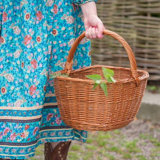 Full Day Foraging, Pizza and Wild Food Fun Activities