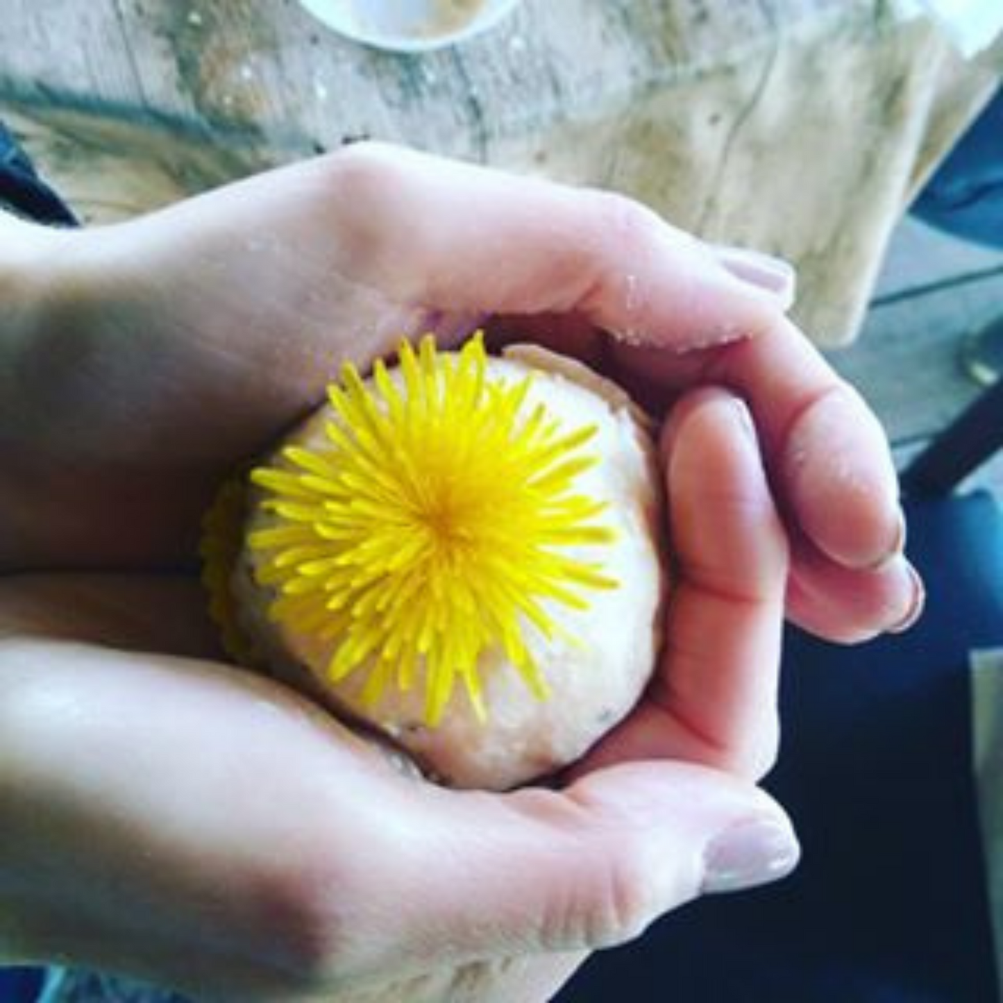 Full Day Foraging, Pizza and Wild Food Fun Activities