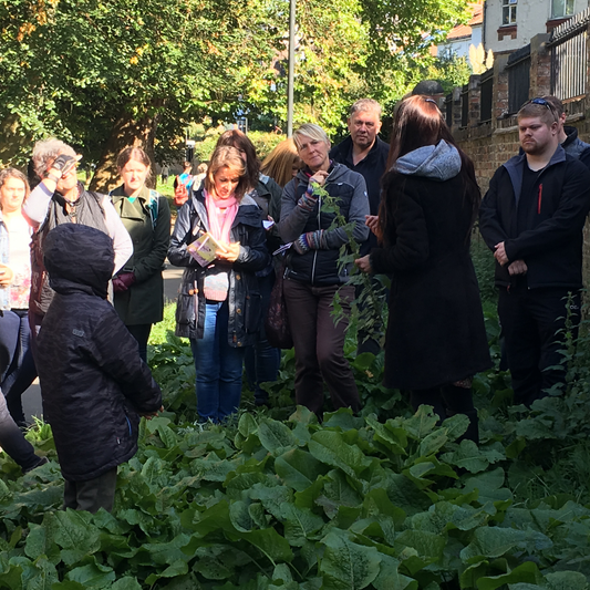 wild food foraging york