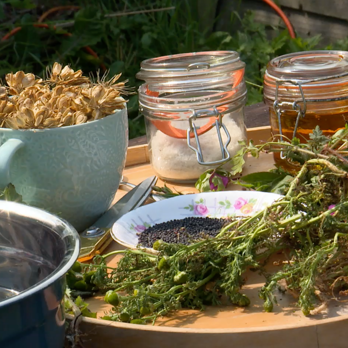 Full Day Foraging, Pizza and Wild Food Fun Activities