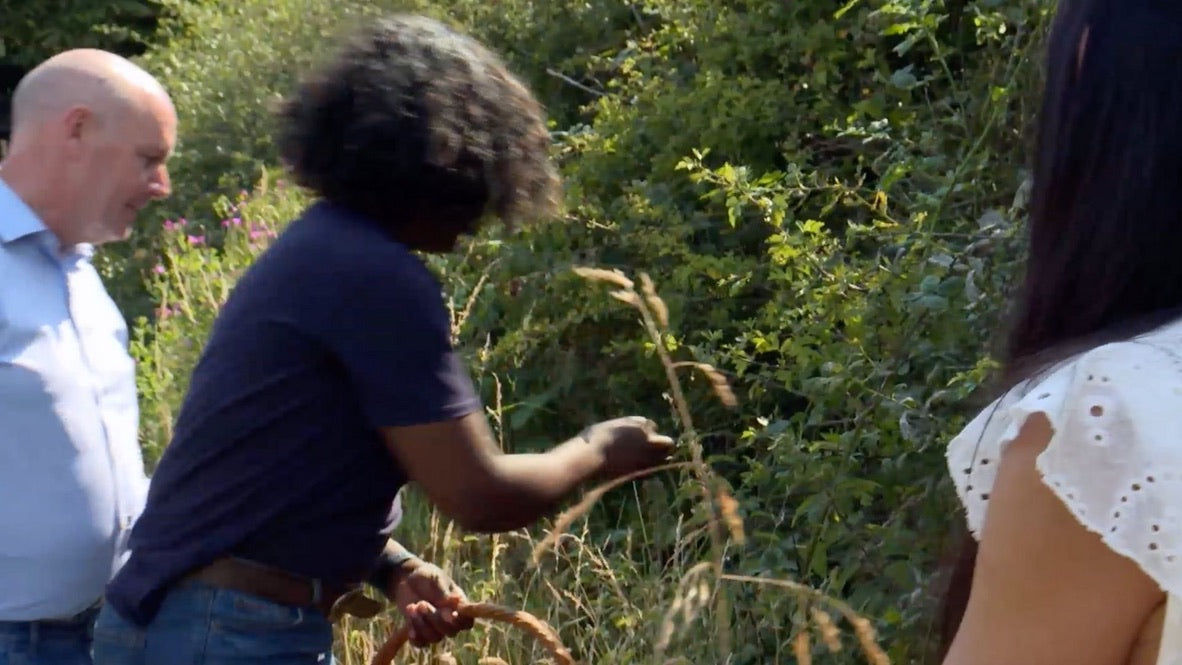 Wild Food Foraging Walk. Walking East Yorkshire Festival.