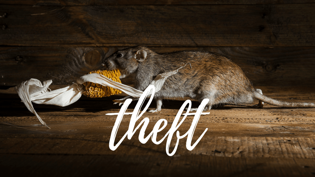Foraging and the Law