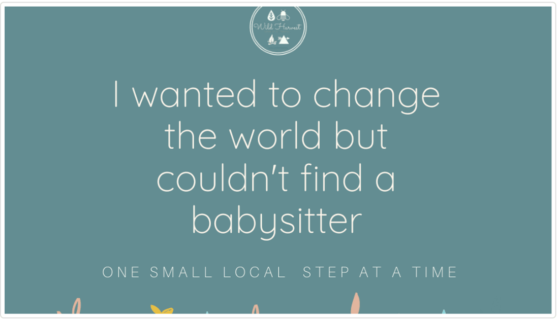 I wanted to change the world... but I couldn't find a babysitter.