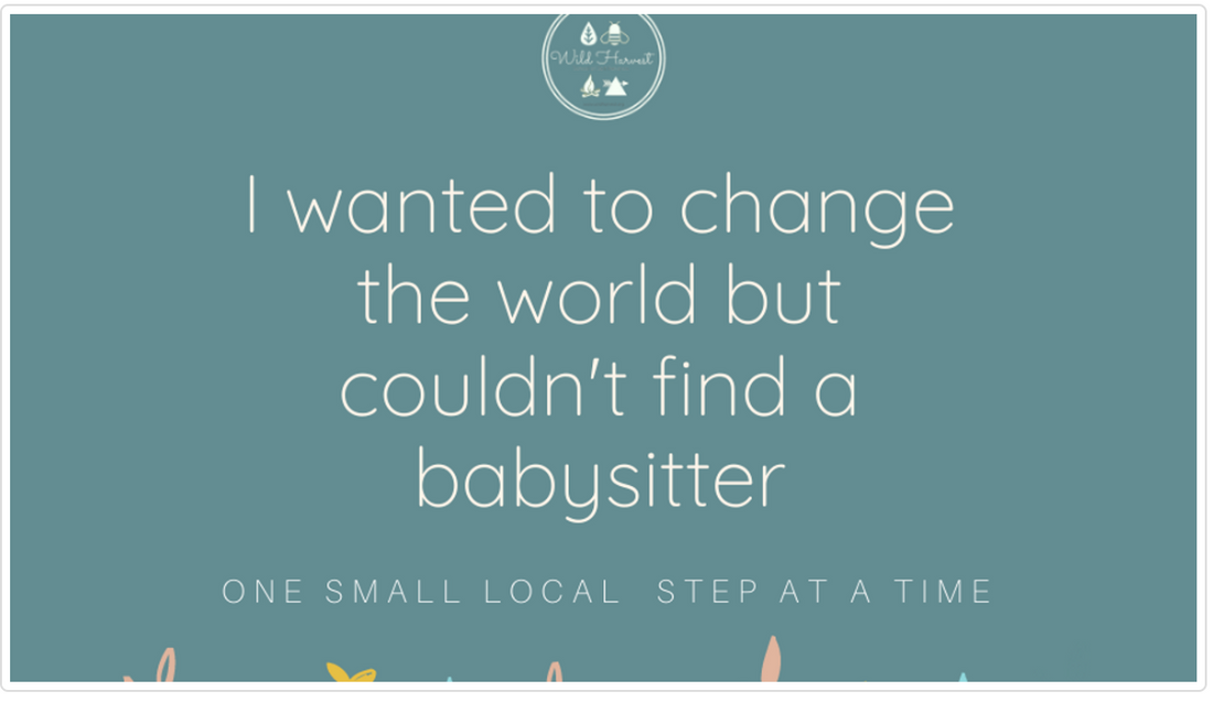 I wanted to change the world... but I couldn't find a babysitter.