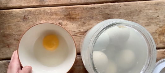 Preserving Raw Eggs Without Electricity