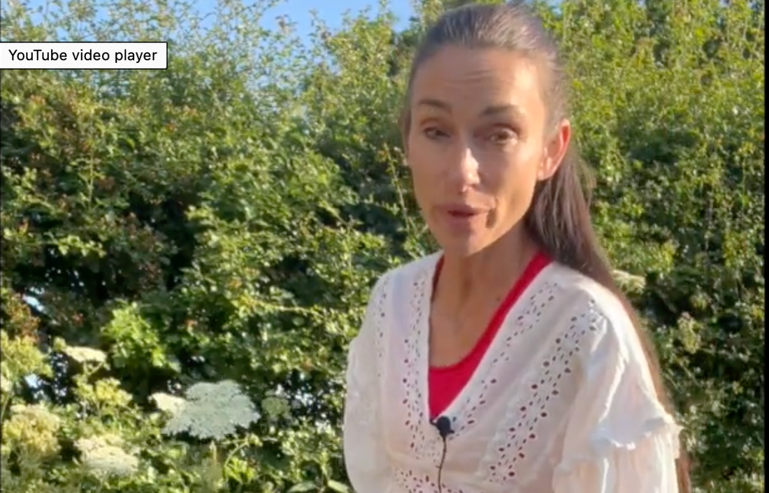can you eat hogweed?