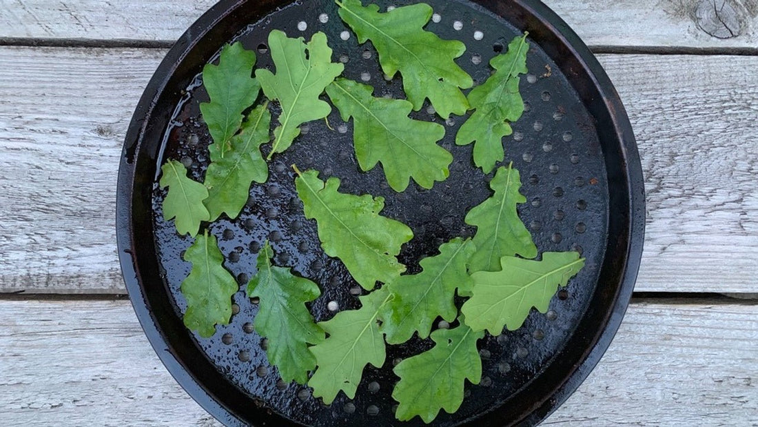 Wild Leaf Crisps