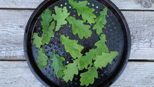 Wild Leaf Crisps
