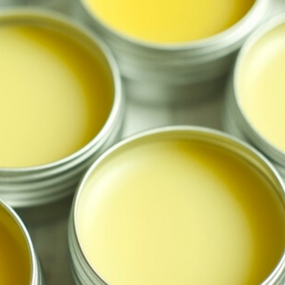 Wild Beauty - Make Natural Toiletries