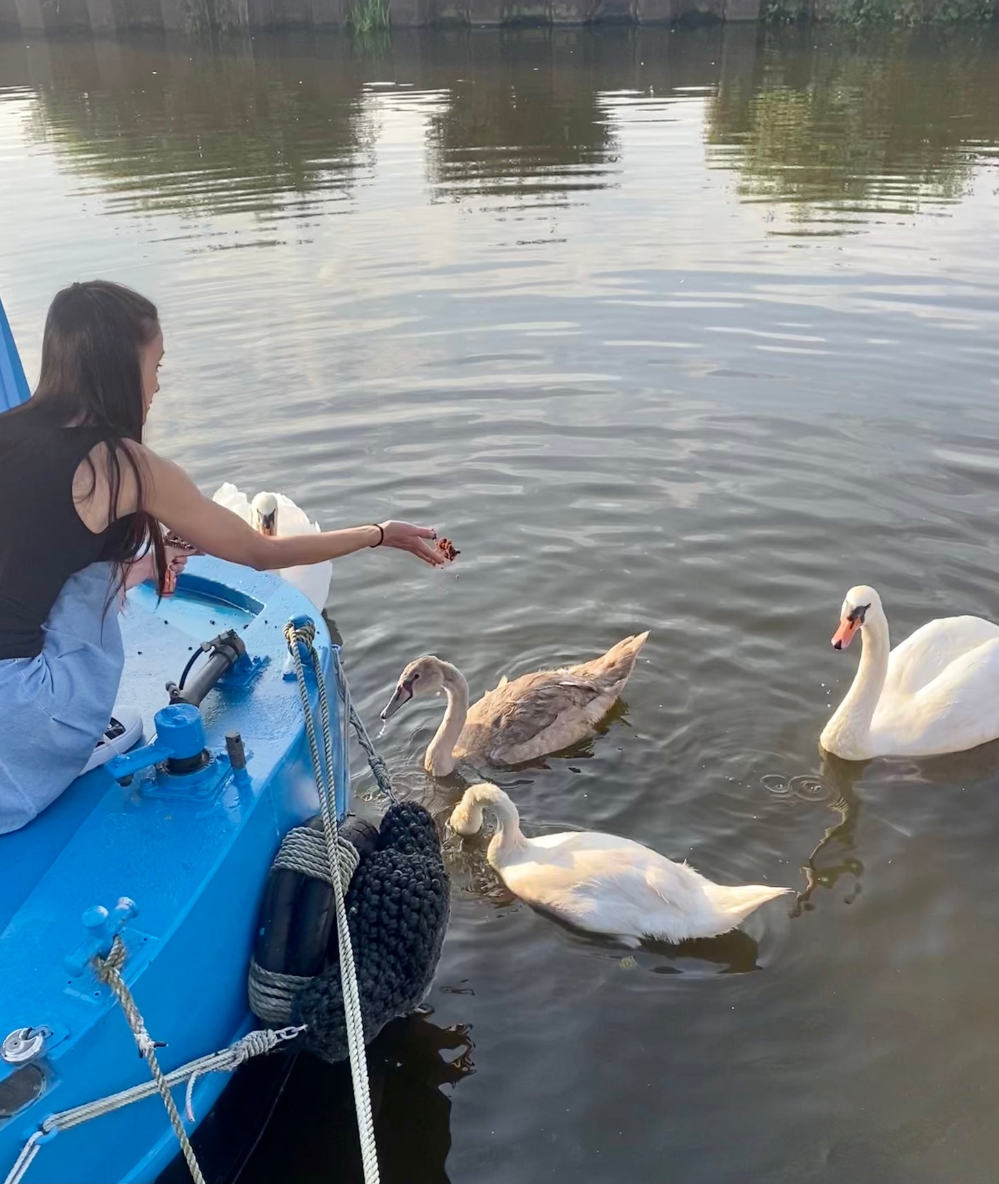 Float and Forage