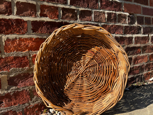 Willow For Weaving