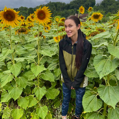 sunflowers uses of sunflowers

