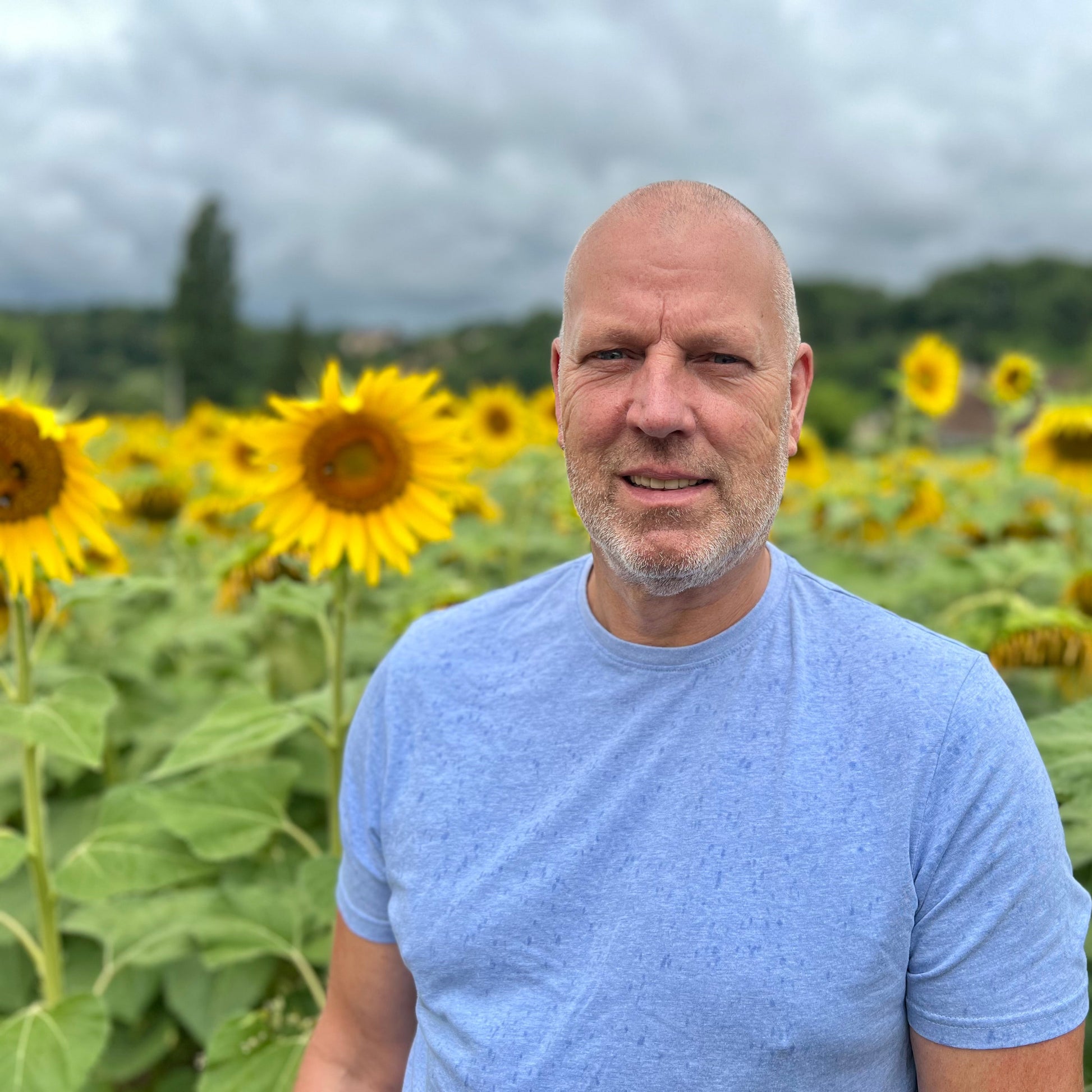 uses of sunflowers