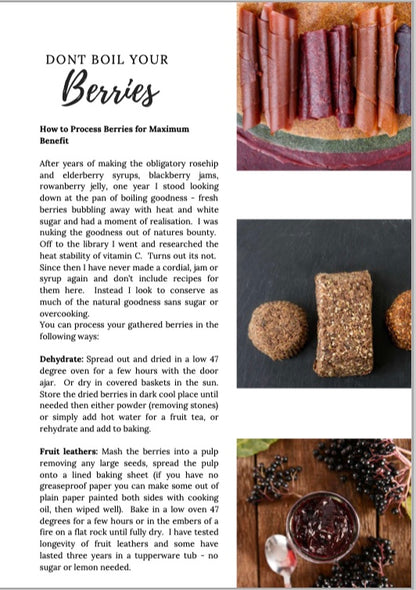 Wild Food E-Book