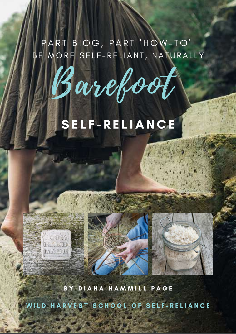 The Self-Sufficiency Bundle Online
