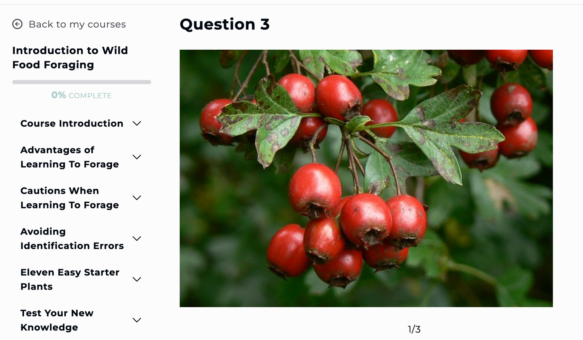 Online Foraging Course