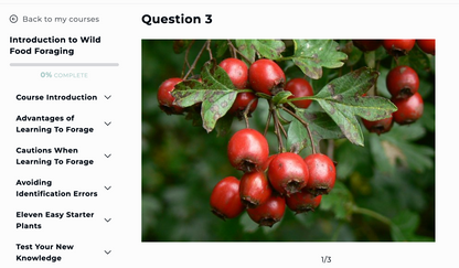 Online Foraging Course