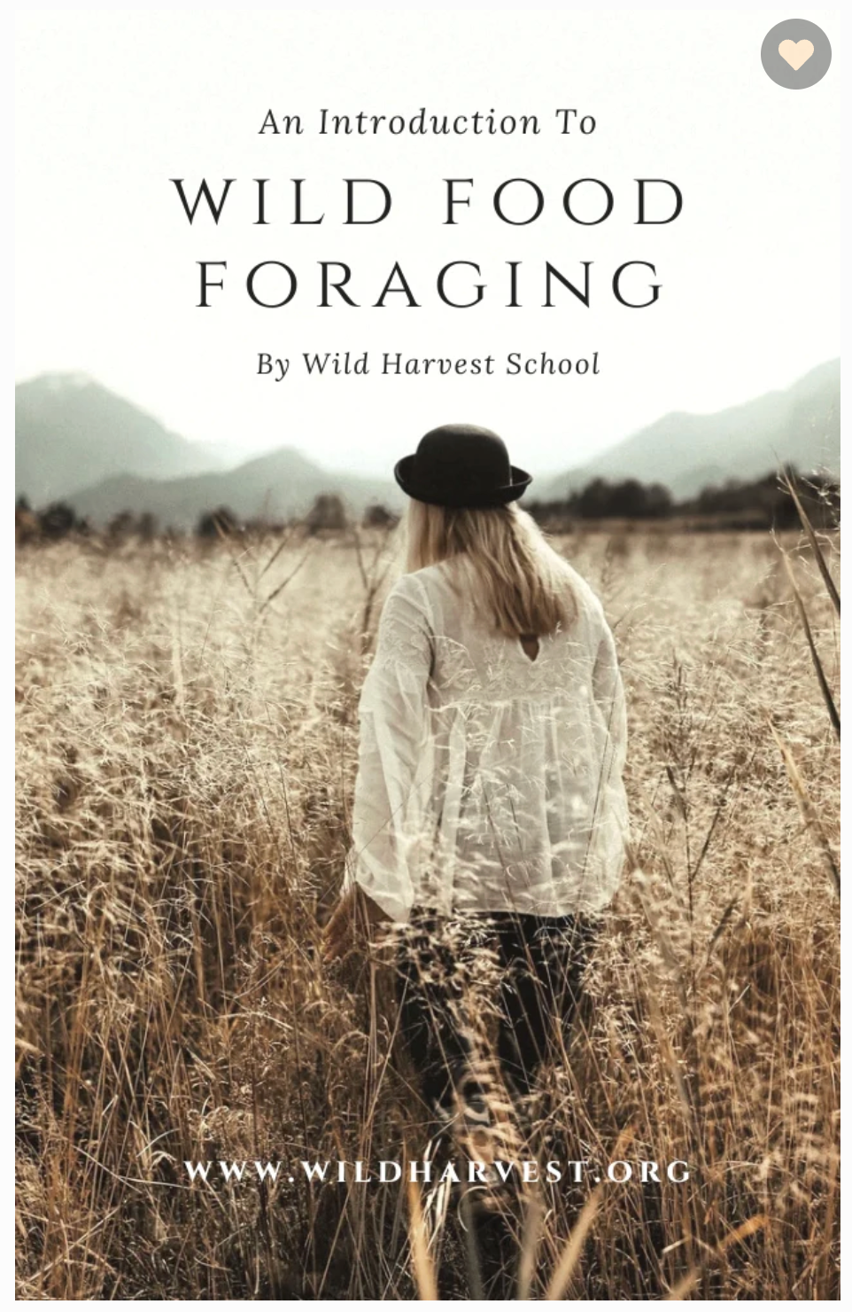 Wild Food Walk by a Pretty East Yorkshire Canal plus free Foraging Ebook.