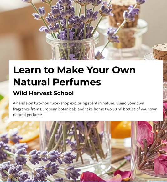 Natural Perfume Making Workshop
