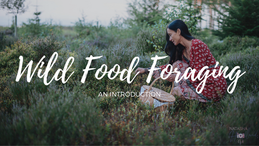 Online Foraging Course