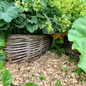 Garden Willow Day