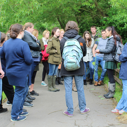 Wild Food Foraging Walk, York