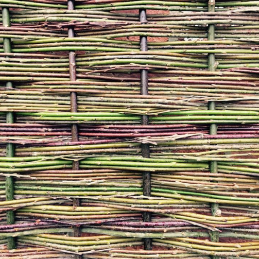 Garden Willow Day