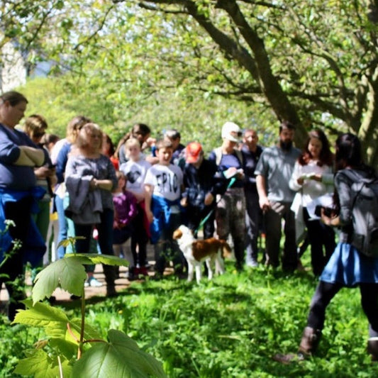 york foraging walks
